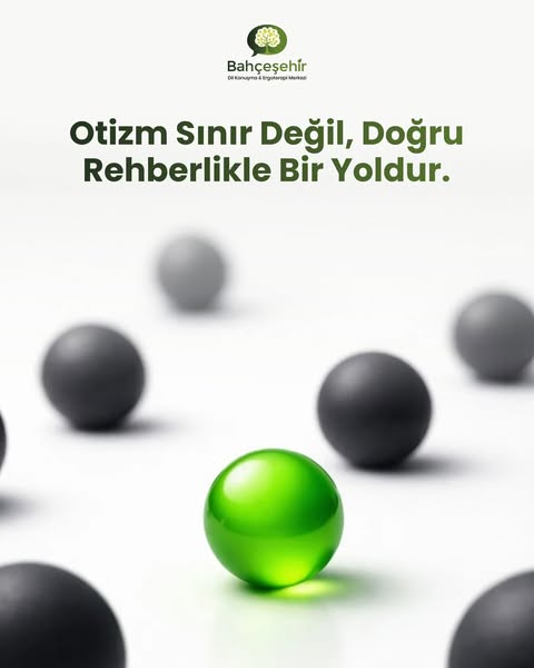 instagram image