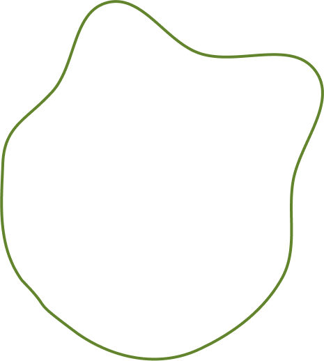 shape-img